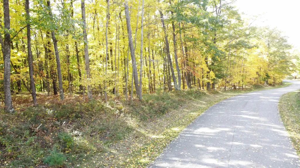 Parcel 14 Jack Morris Drive Edwards Township MI 48661