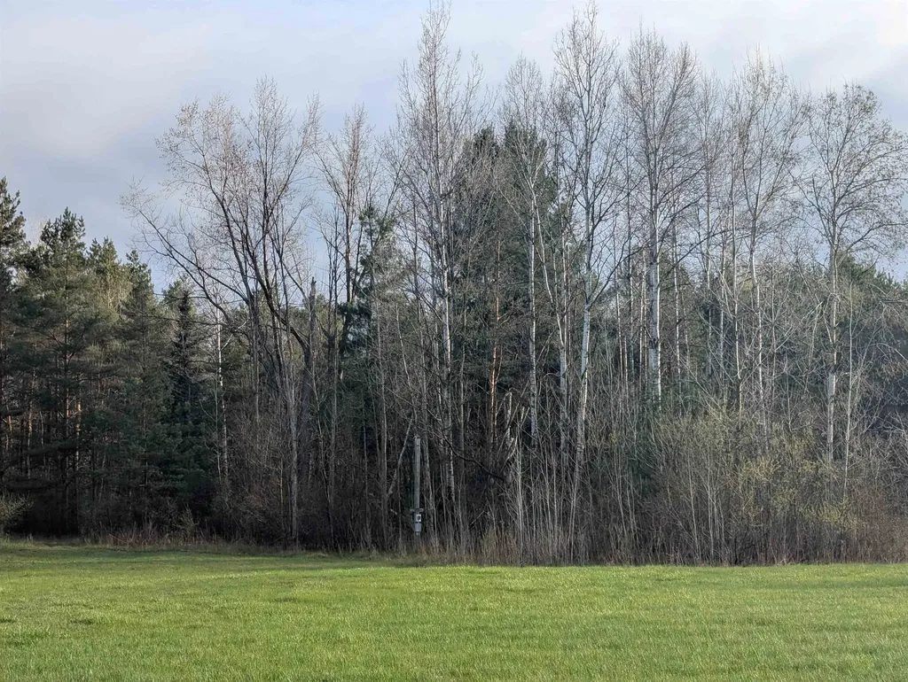 N/a Pine Street Arenac Township MI 48749