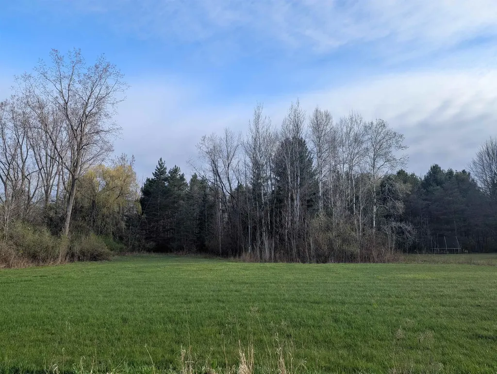 N/a Pine Street Arenac Township MI 48749