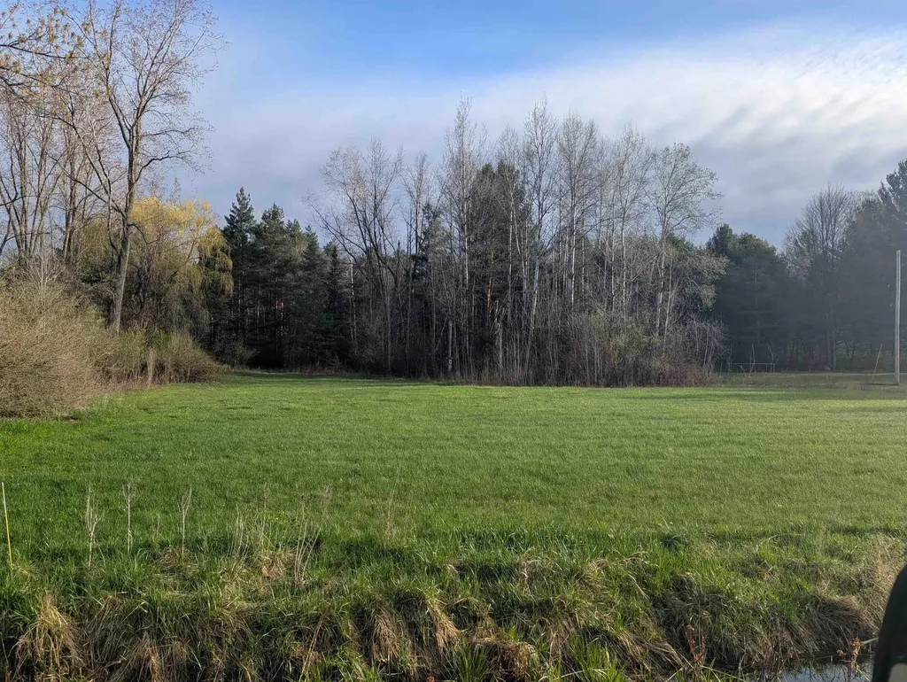 N/a Pine Street Arenac Township MI 48749