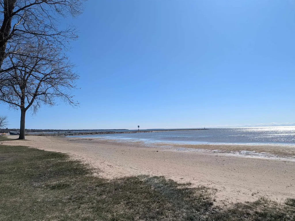 N/a Michigan Avenue Sims Township MI 48703