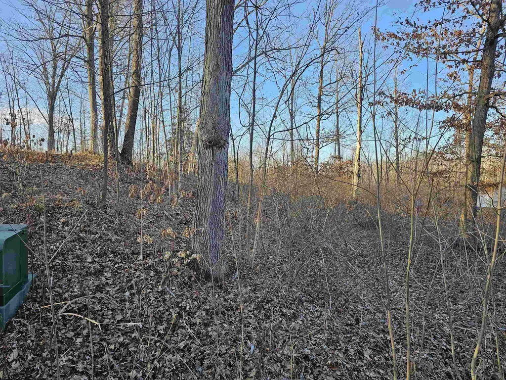 V/l Oak Lane Hill Township MI 48739