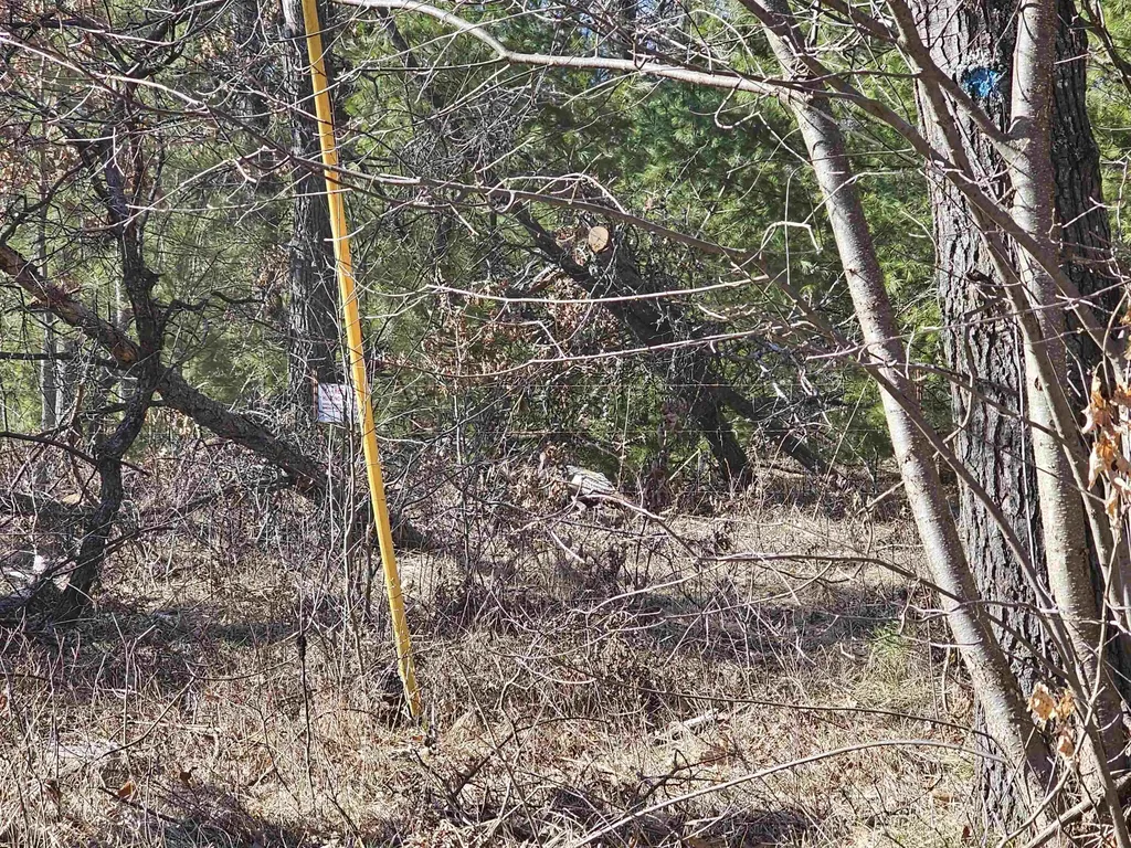 V/l Oak Lane Hill Township MI 48739