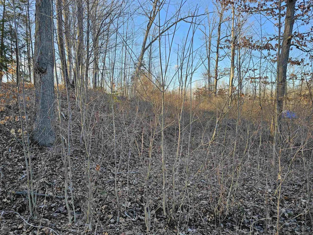 V/l Oak Lane Hill Township MI 48739