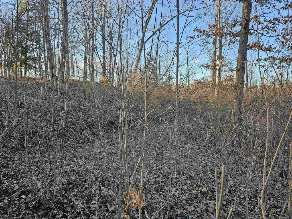 V/l Oak Lane Hill Township MI 48739