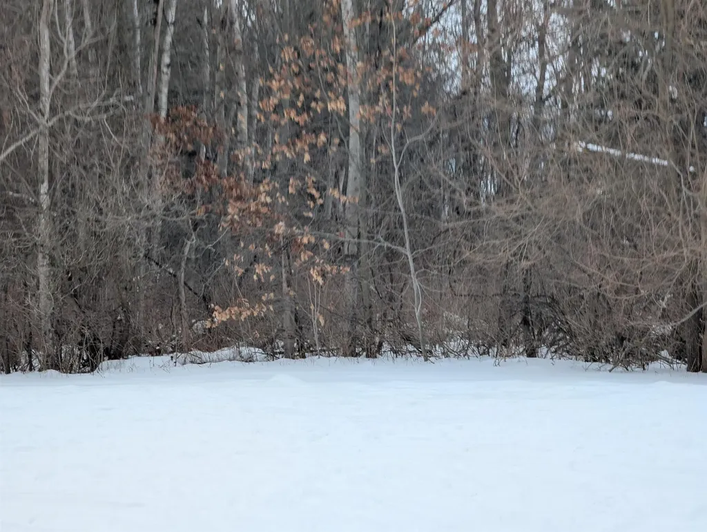 N/a Court Street Au Gres Township MI 48703