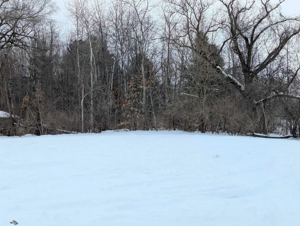 N/a Court Street Au Gres Township MI 48703