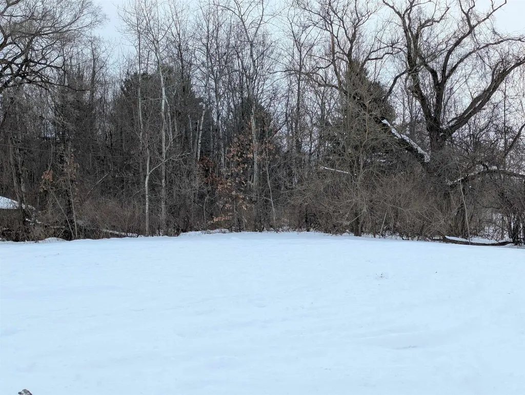 N/a Court Street Au Gres Township MI 48703