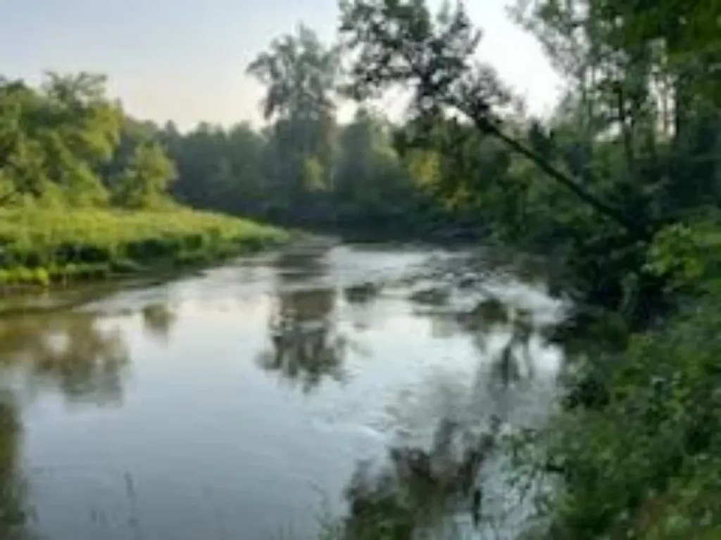 1620 N Michigan Arenac Township MI 48749
