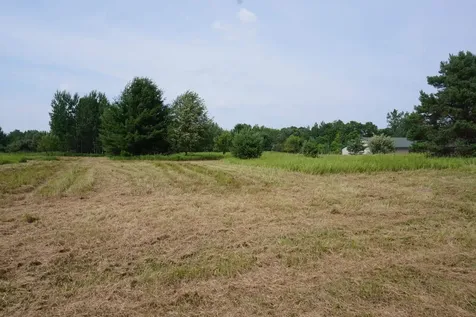 00 Tawas Road Reno Township MI 48770