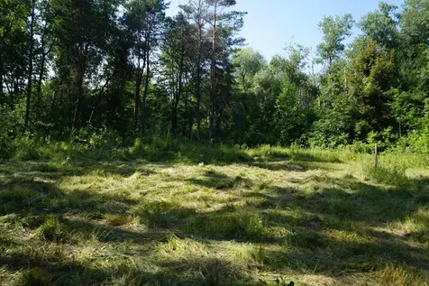 00 Tawas Road Reno Township MI 48770