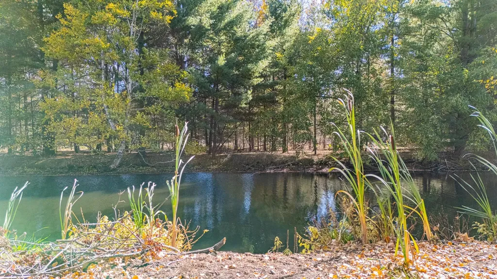 Xxx Long Point Lake Township MI 48629