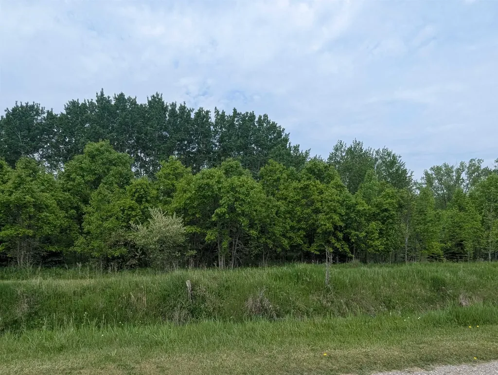 N/a Twining Road Whitney Township MI 48703