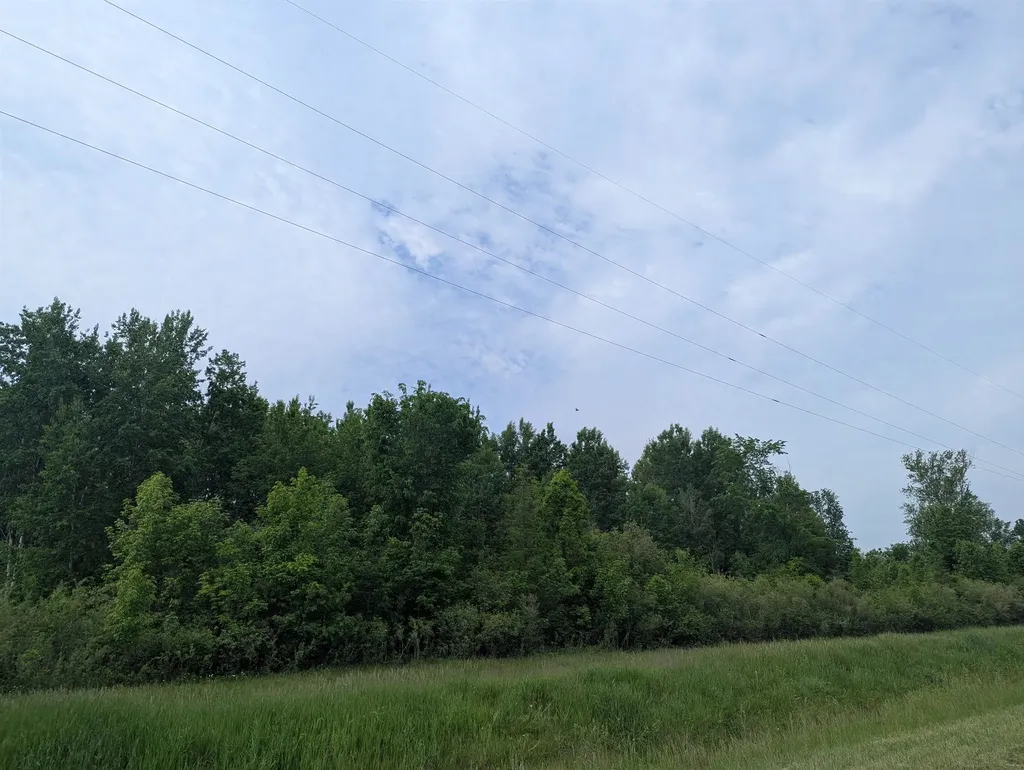 N/a Twining Road Whitney Township MI 48703