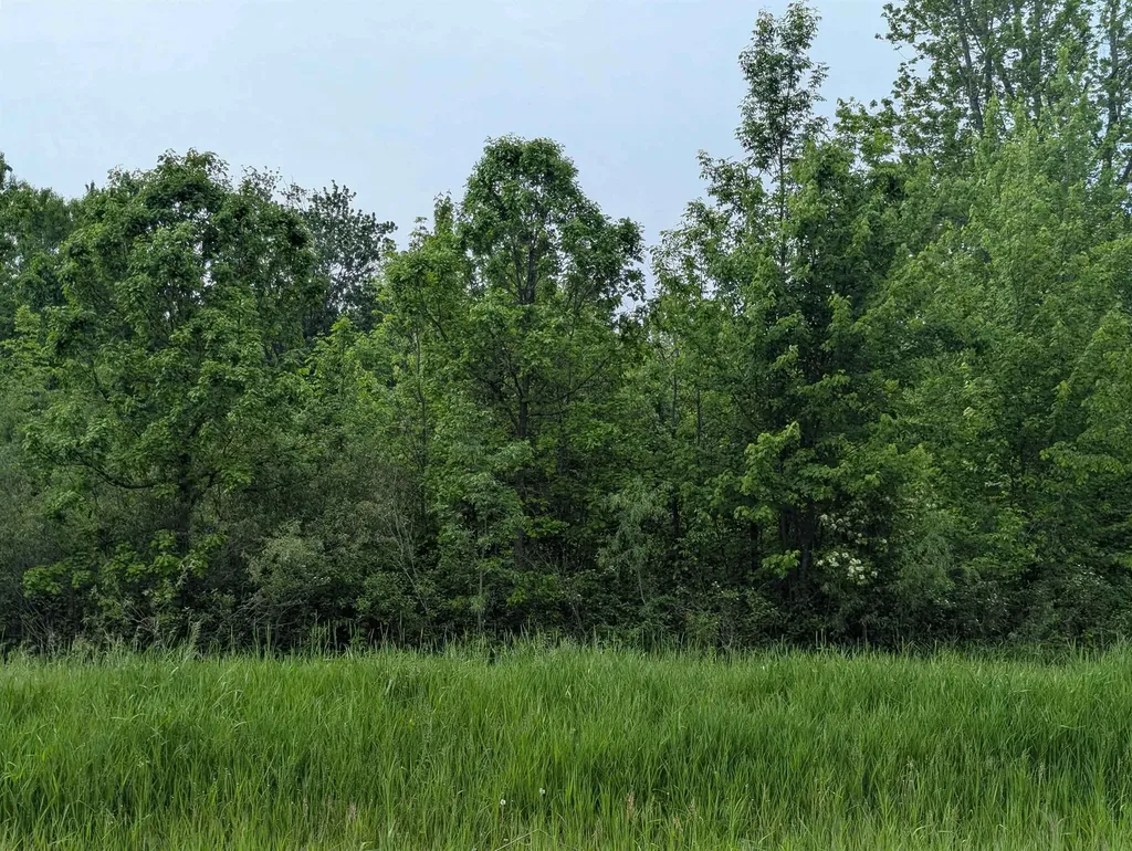 N/a Twining Road Whitney Township MI 48703