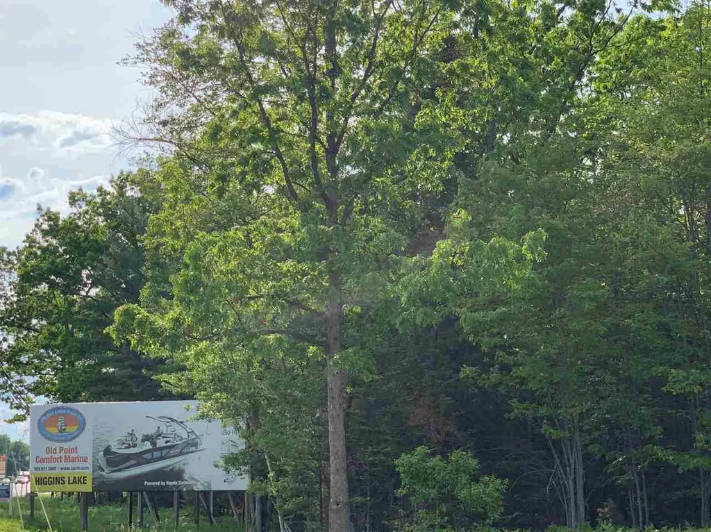 Xxx W Houghton Lake Drive Denton Township MI 48629