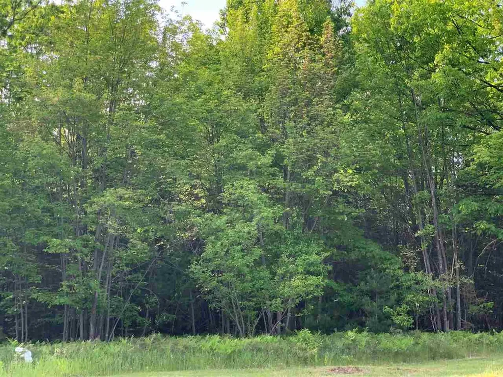 Xxx W Houghton Lake Drive Denton Township MI 48629