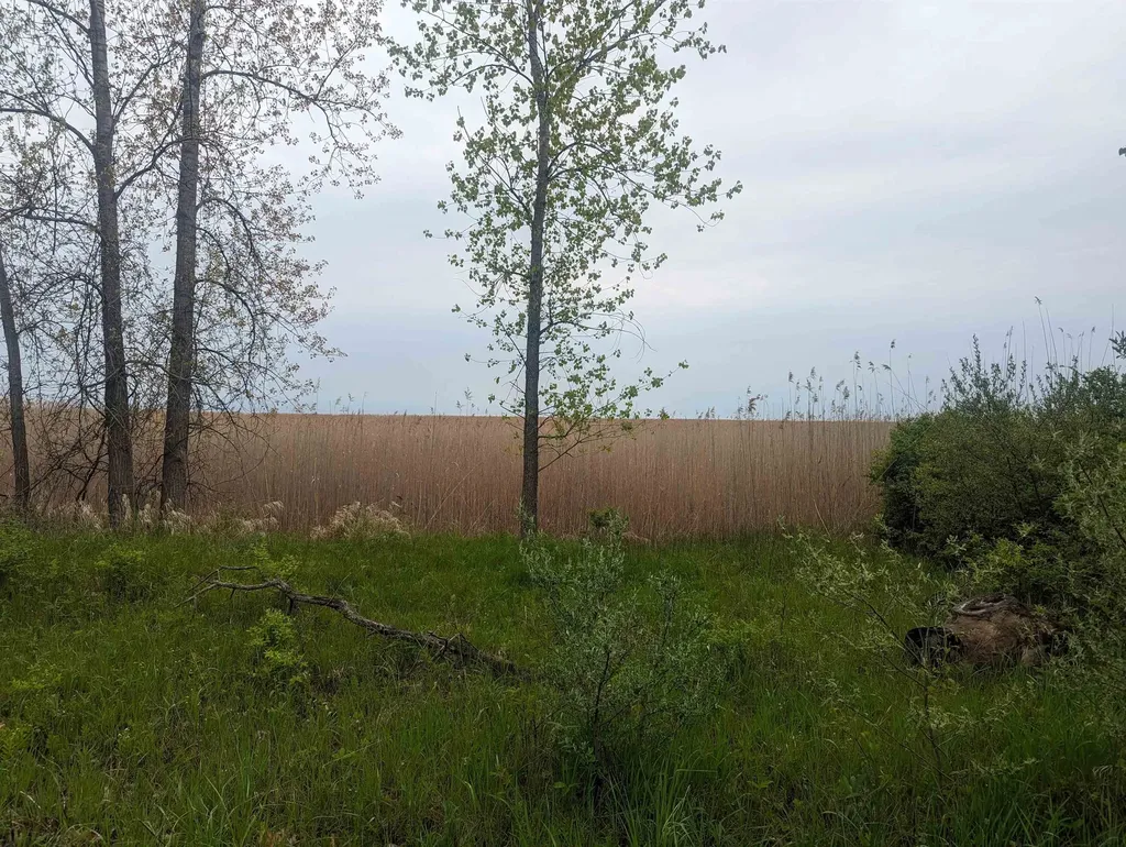 N/a Michigan Avenue Sims Township MI 48703