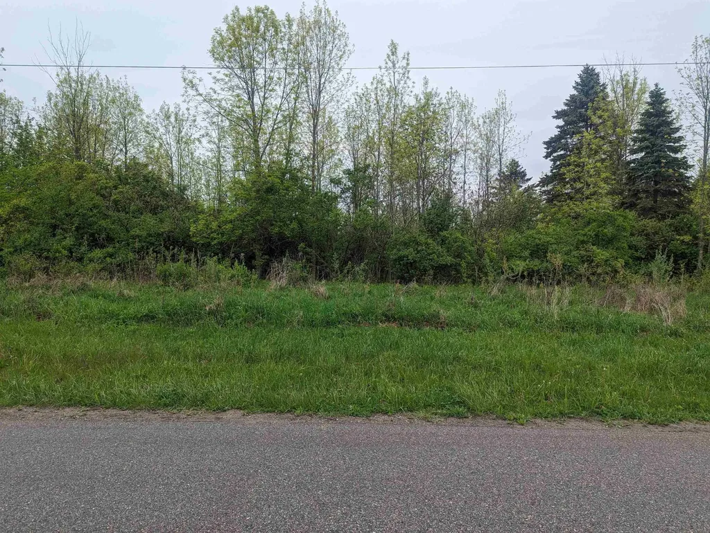 N/a Michigan Avenue Sims Township MI 48703