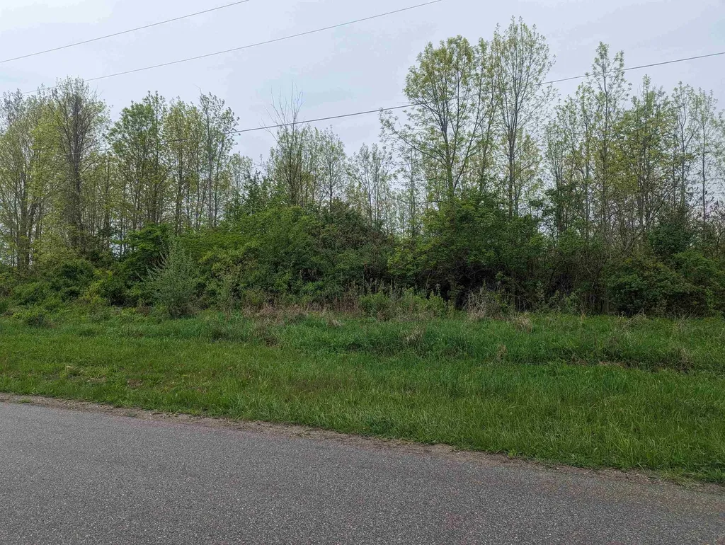 N/a Michigan Avenue Sims Township MI 48703