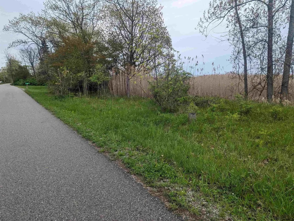 N/a Michigan Avenue Sims Township MI 48703