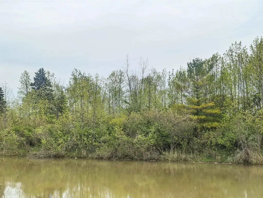 N/a Michigan Avenue Sims Township MI 48703