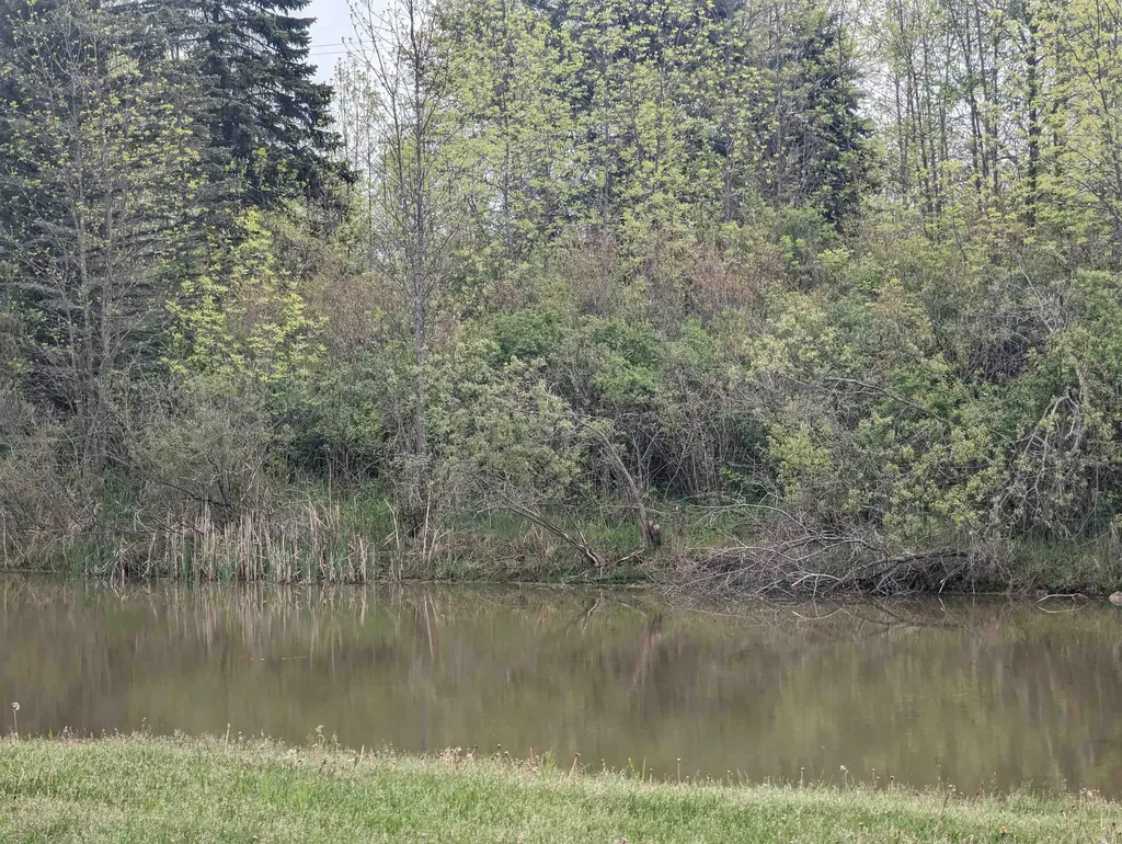 N/a Michigan Avenue Sims Township MI 48703