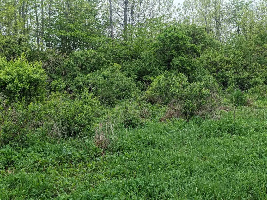 N/a Michigan Avenue Sims Township MI 48703
