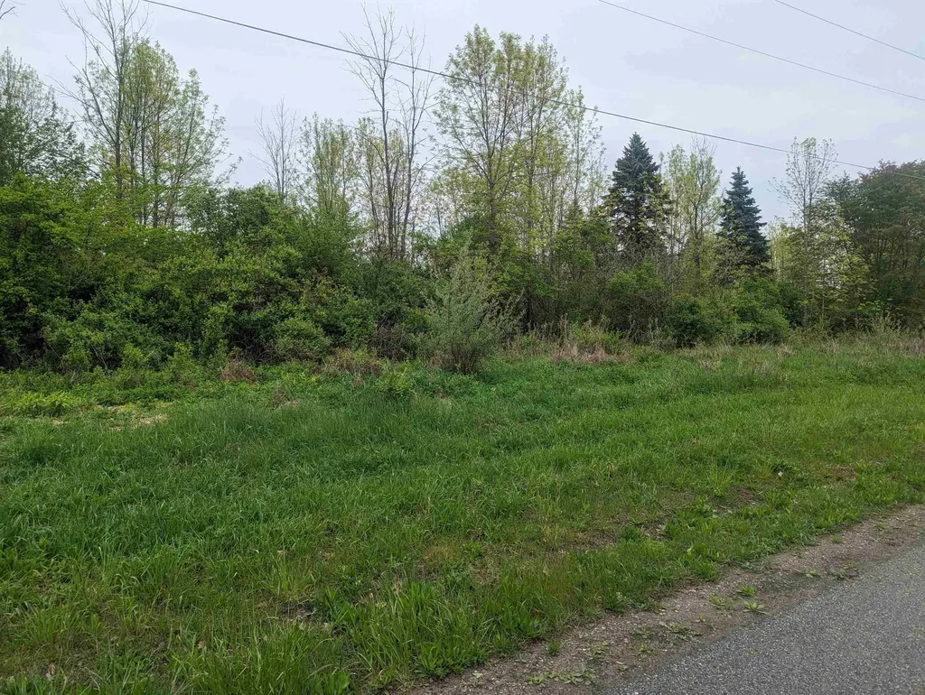 N/a Michigan Avenue Sims Township MI 48703