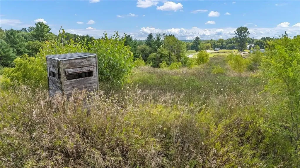 1870 M-65 Burleigh Township MI 48770