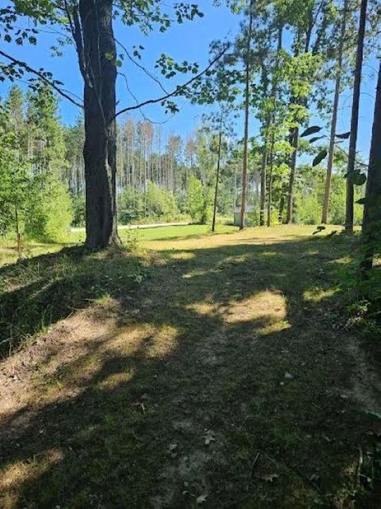 00 Wild Cherry Lane Plainfield Township MI 48739