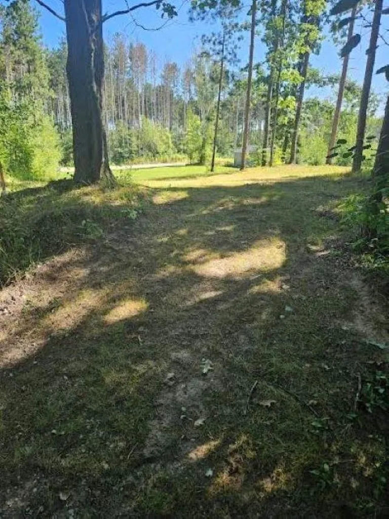 00 Wild Cherry Lane Plainfield Township MI 48739