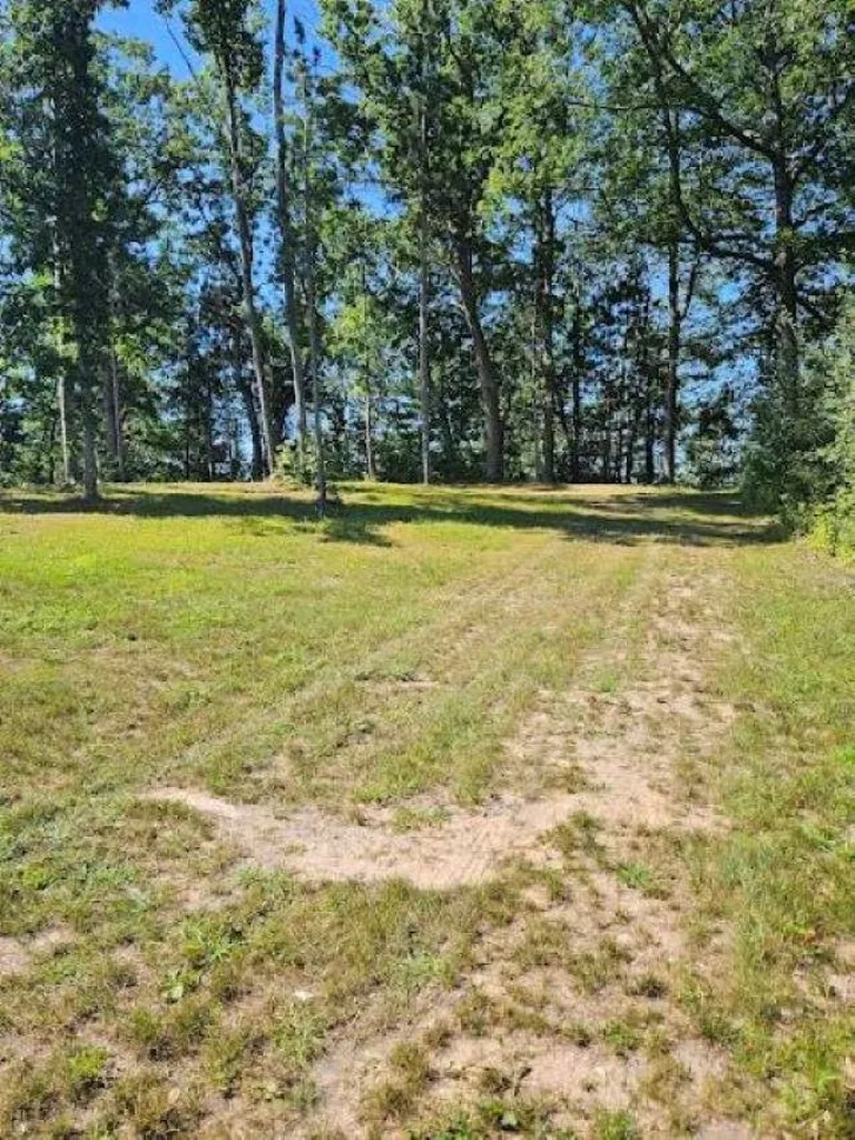 00 Wild Cherry Lane Plainfield Township MI 48739