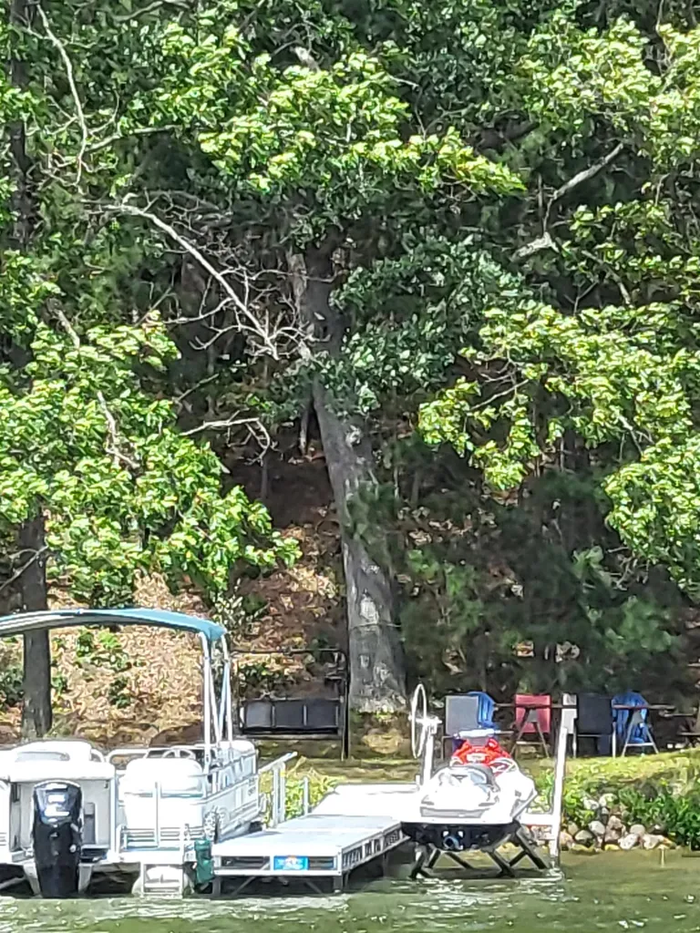 00 Wild Cherry Lane Plainfield Township MI 48739