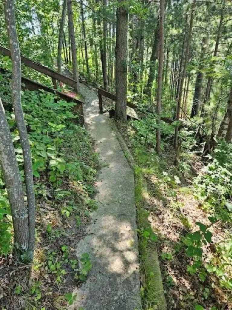 00 Wild Cherry Lane Plainfield Township MI 48739