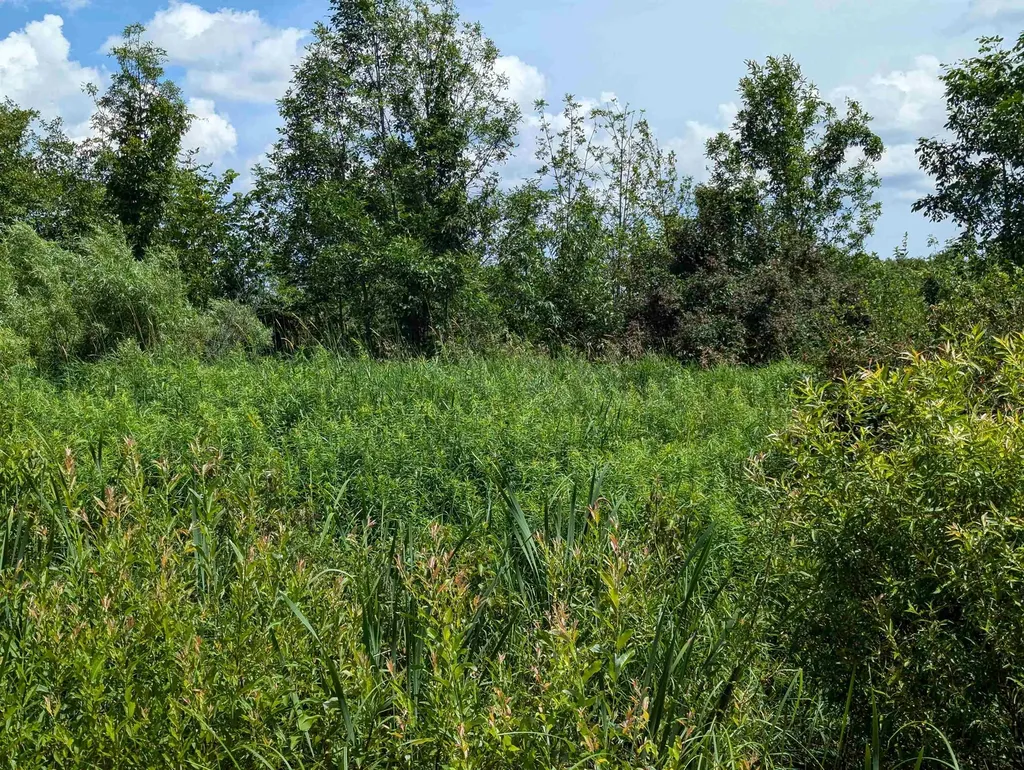 N/a Crosby Road Sherman Township MI 48765