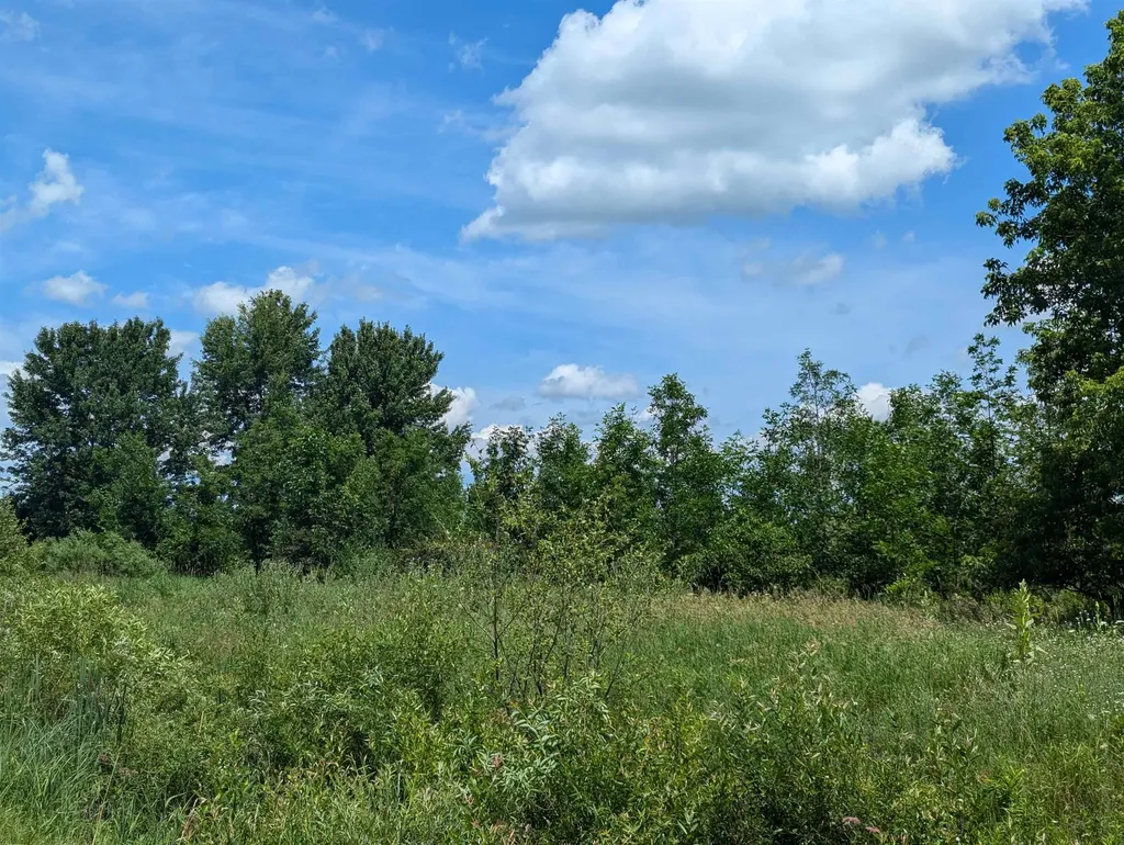 N/a Crosby Road Sherman Township MI 48765