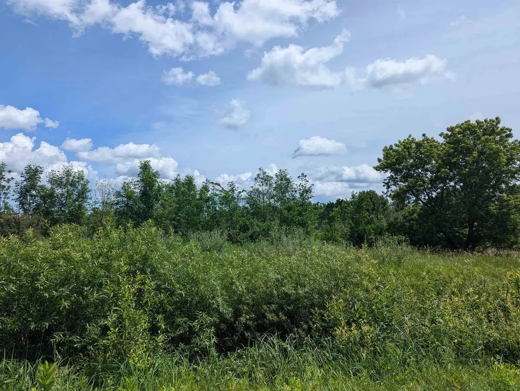 N/a Crosby Road Sherman Township MI 48765