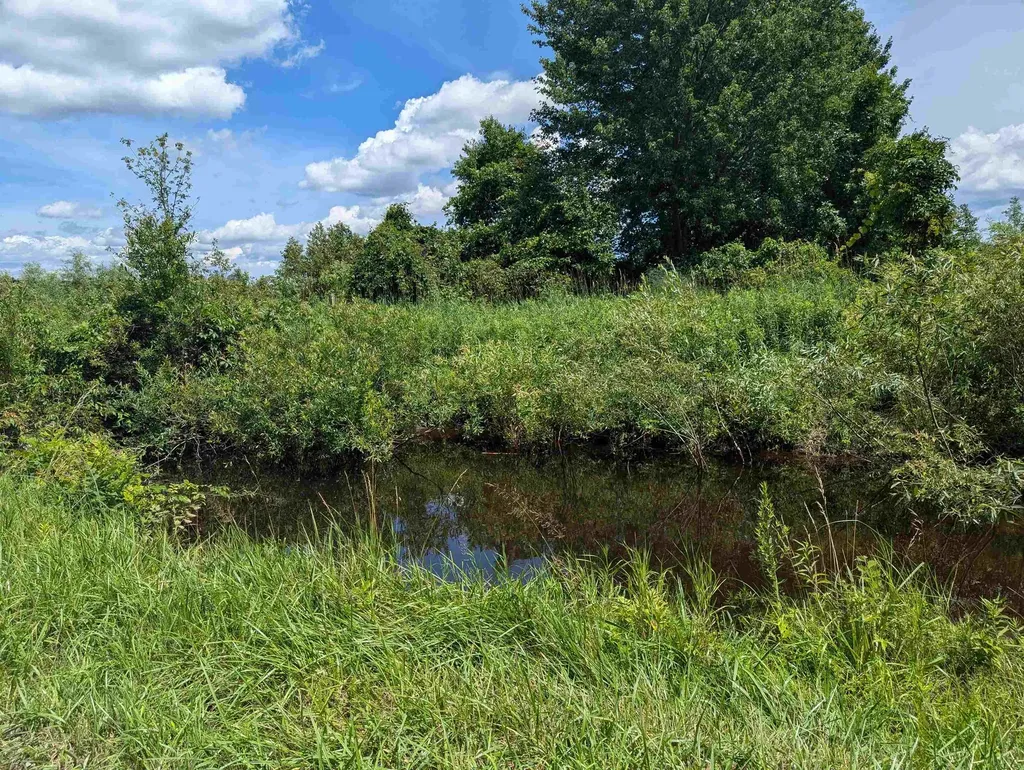N/a Crosby Road Sherman Township MI 48765