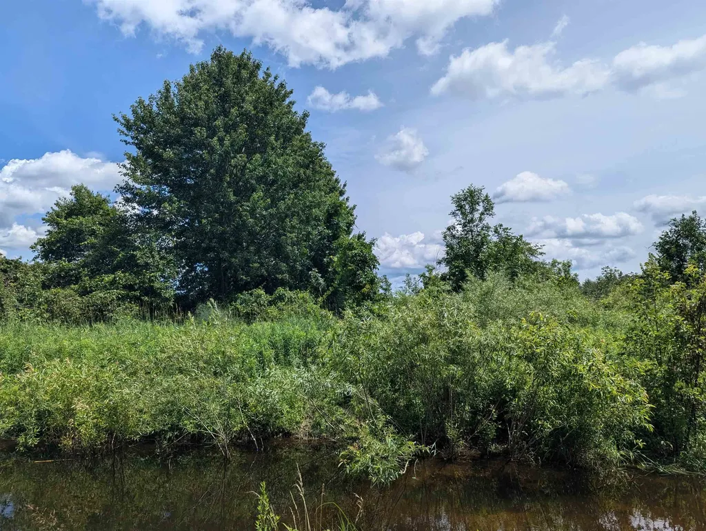 N/a Crosby Road Sherman Township MI 48765