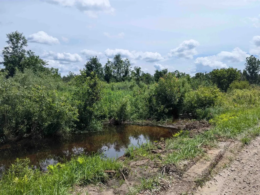 N/a Crosby Road Sherman Township MI 48765