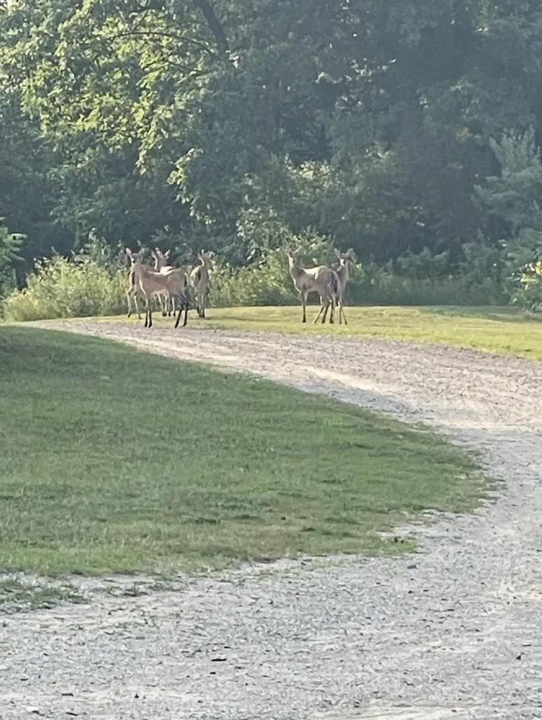 3186 Lake George Road Edwards Township MI 48661