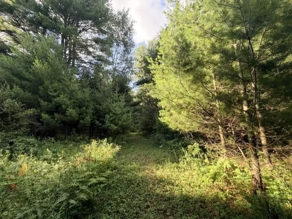 00 Timreck Road Tawas Township MI 48763
