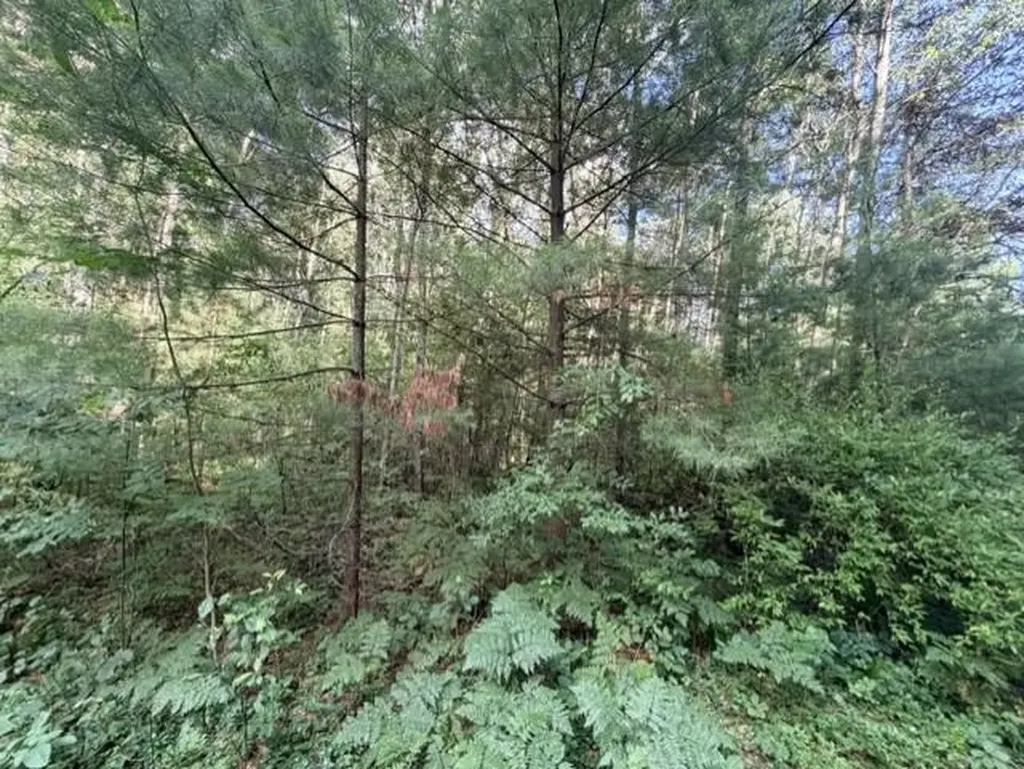 00 Timreck Road Tawas Township MI 48763