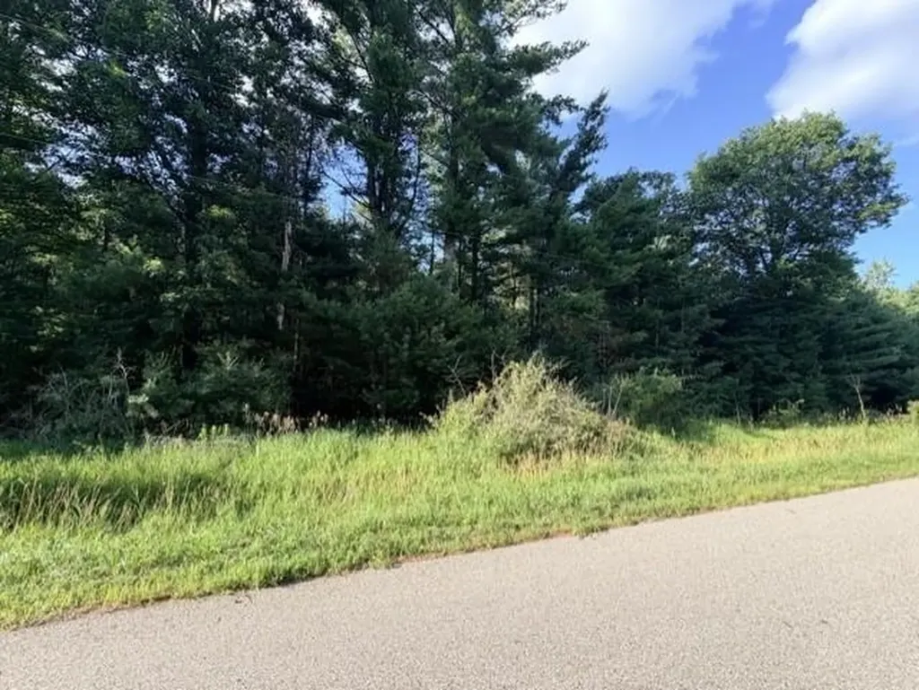 00 Timreck Road Tawas Township MI 48763