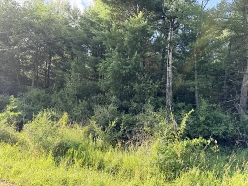 00 Timreck Road Tawas Township MI 48763