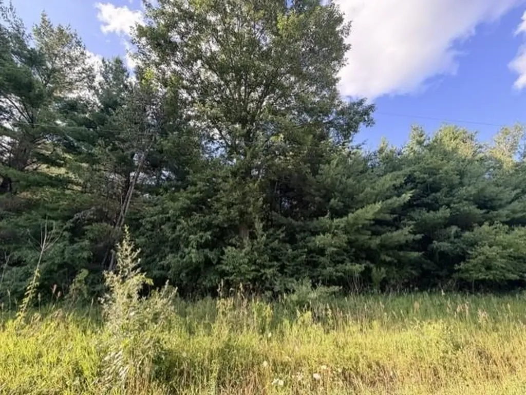 00 Timreck Road Tawas Township MI 48763