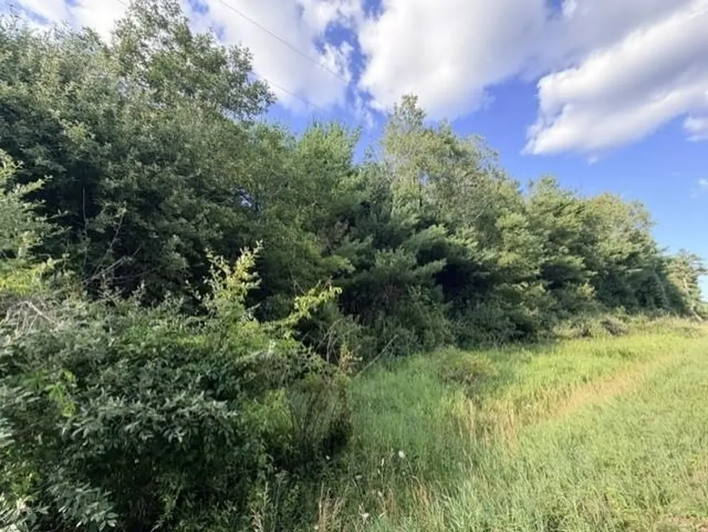 00 Timreck Road Tawas Township MI 48763