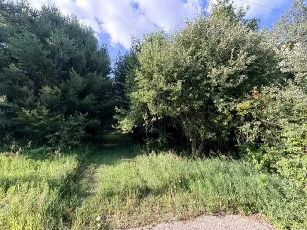 00 Timreck Road Tawas Township MI 48763