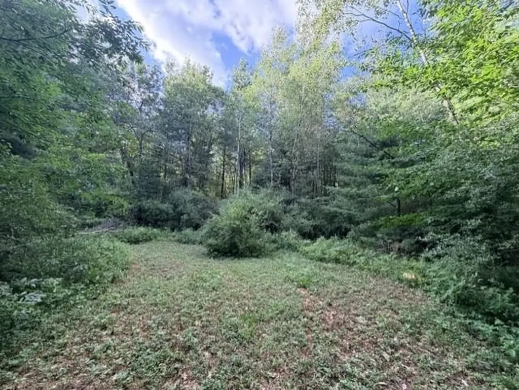 00 Timreck Road Tawas Township MI 48763